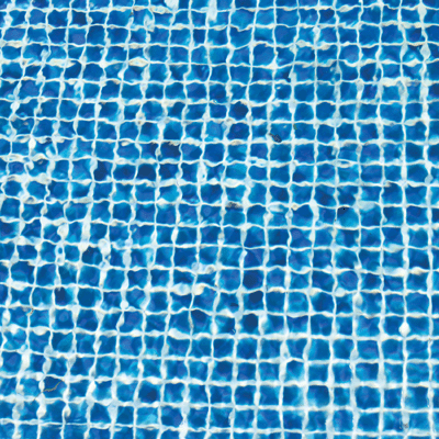 WS Swim Team: Spring Board