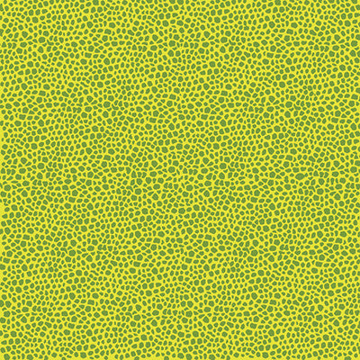 WS Toy Box: Dino Print