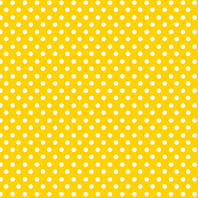 WS Toy Box: Dino Print