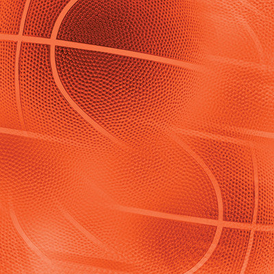 WS The Basketball Collection: Basketball Dreams