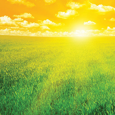 The Breakfast Club: Rise & Shine