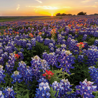 Texas: Big Bend National Park