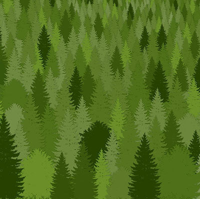 WS The Great Outdoors: Forever Green