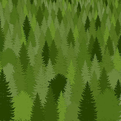 The Great Outdoors: Forever Green