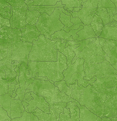 WS The Great Outdoors: Forever Green