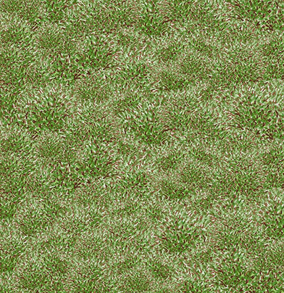 WS The Great Outdoors: Into the Woods