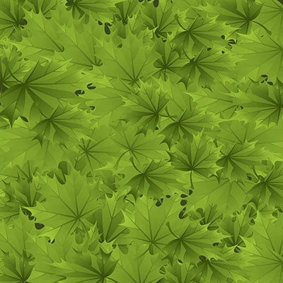 WS The Great Outdoors: Arbor Green