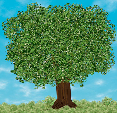 WS The Great Outdoors: Shades of Green