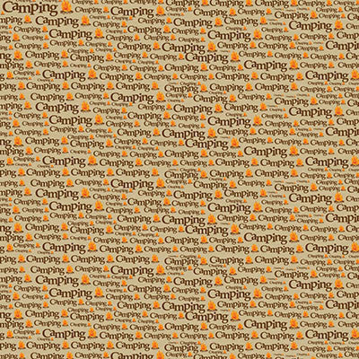 WS The Great Outdoors: Camping