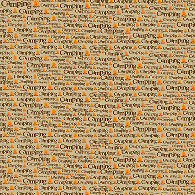 The Great Outdoors: Camping