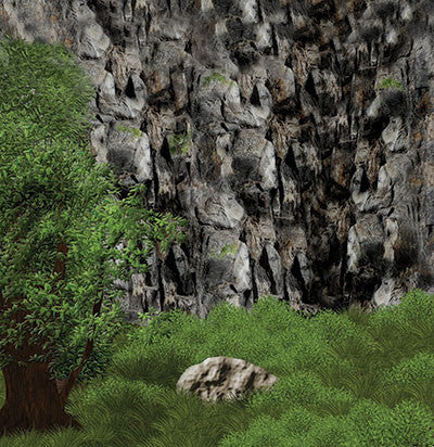 WS The Great Outdoors: Hidden Oasis