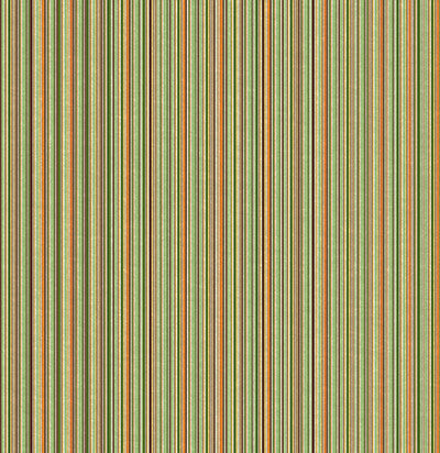 WS The Great Outdoors: The Great Outdoors