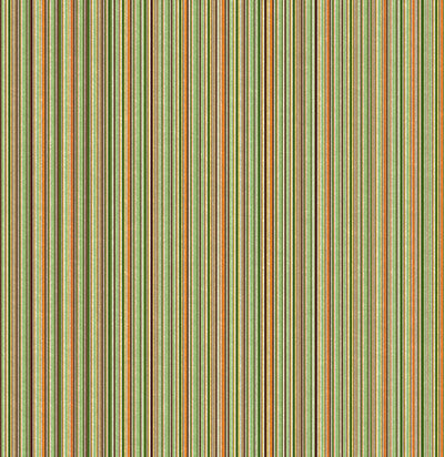 The Great Outdoors: The Great Outdoors