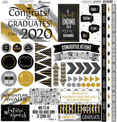 WS The Graduate 2020: The Graduate 12x12 Elements Sticker
