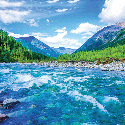 The Journey Beyond: Wanderlust