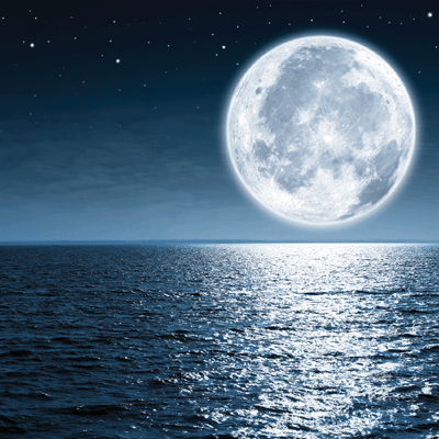 The Journey Beyond: Wanderlust