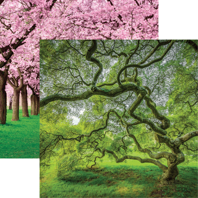 The Journey Beyond: Tree of Hope