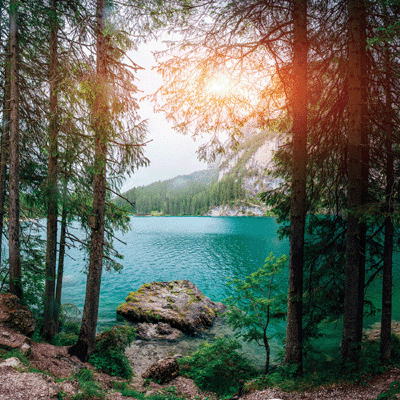 WS The Journey Beyond: Sunrise Reverie