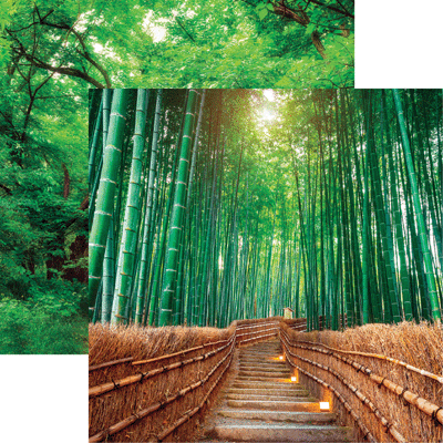 WS The Journey Beyond: Bamboo Byway