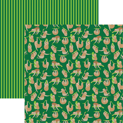 The Menagerie: Hanging with the Sloths