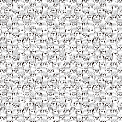 WS The Menagerie: Meerkats on Lookout