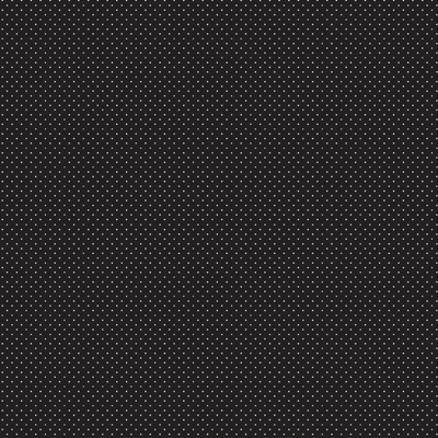 WS The Menagerie: Meerkats on Lookout