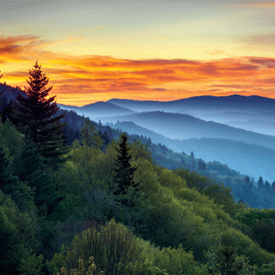 WS Tennessee: Great Smoky Mountains
