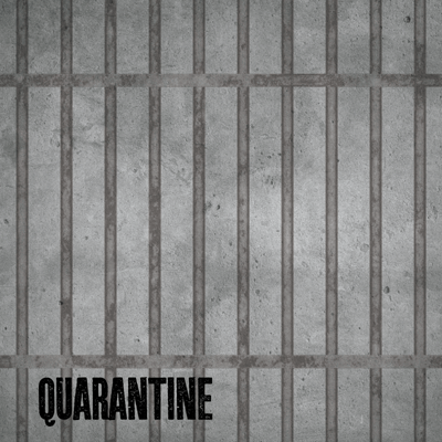 WS There's No Place Like Home: Quarantine