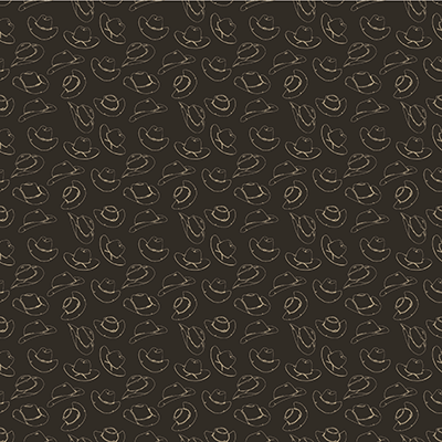 WS Trading Post: Cowboy