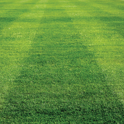 The Soccer Collection 2: Goal