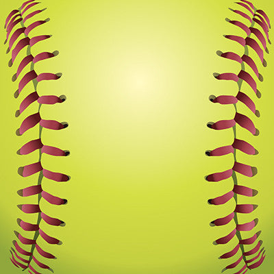 WS The Softball Collection: Let's Play Softball