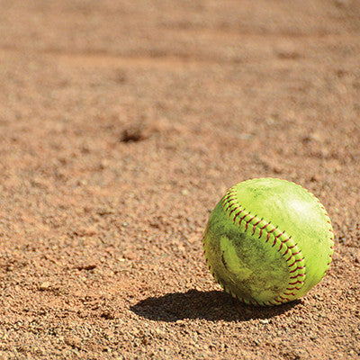 WS The Softball Collection: Let's Play Softball