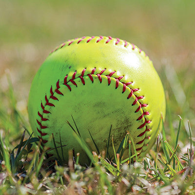 The Softball Collection: Play Softball