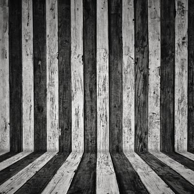 The Silver Scream: The Crow