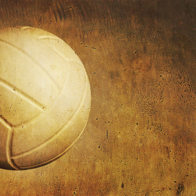 WS The Volleyball Collection: Volleyball Border