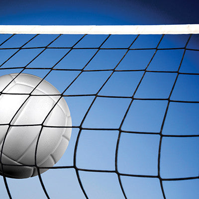 WS The Volleyball Collection: On the Volleyball Court