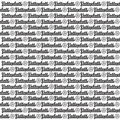 WS The Volleyball Collection: Volleyball Words