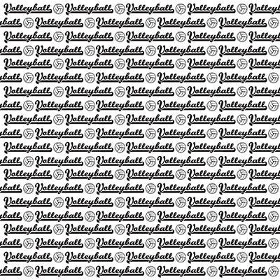 The Volleyball Collection: Volleyball Words