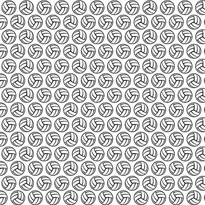 WS The Volleyball Collection: Volleyball Words