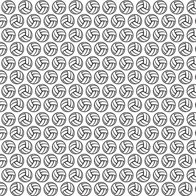 The Volleyball Collection: Volleyball Words