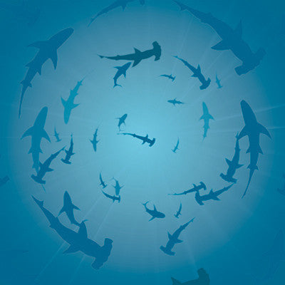 WS Under the Sea: The Old Boardwalk