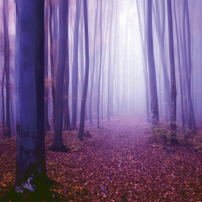 Ultraviolet: What Lies Ahead