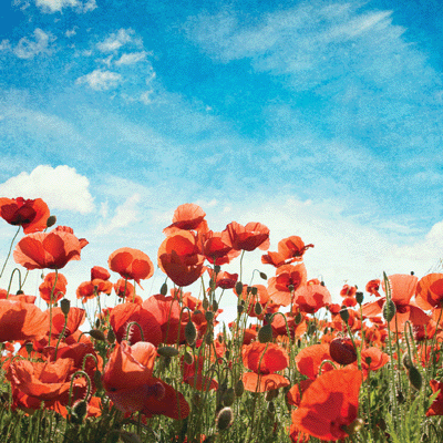 WS Vintage Day: Blue Skies