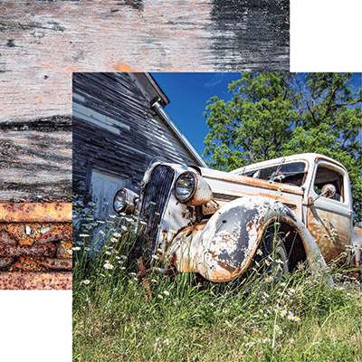 WS Vintage Trucks: Daisies