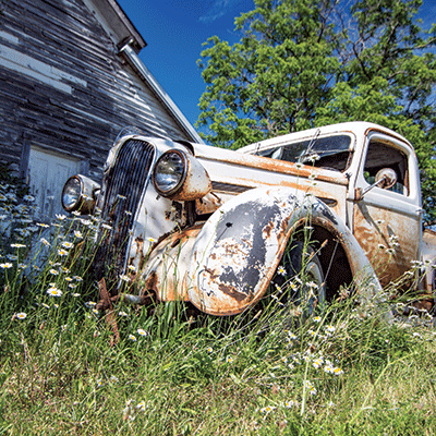 WS Vintage Trucks: Daisies