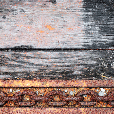 Vintage Trucks: Daisies