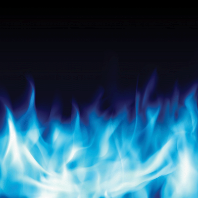 Warrior: Wild Flames