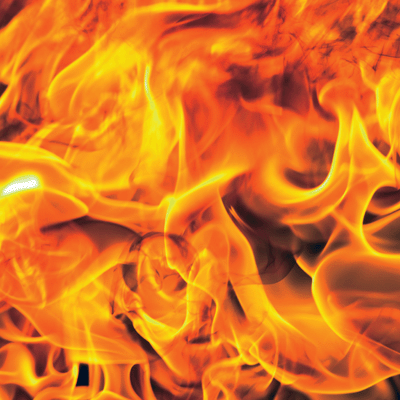 Warrior: Wild Flames