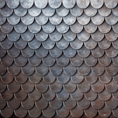 Warrior: Middle Ages