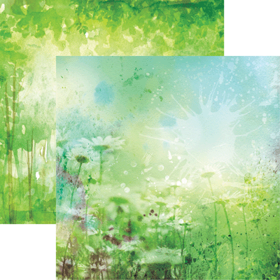 What Dreams May Come: Watercolor Chamomile